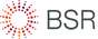 bsr-logo-color